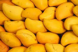 Premium Mangoes